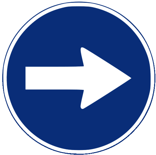 Sentido obligatorio
